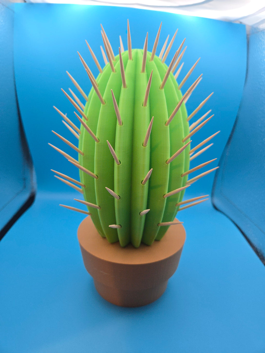 Cactus Toothpick Holder