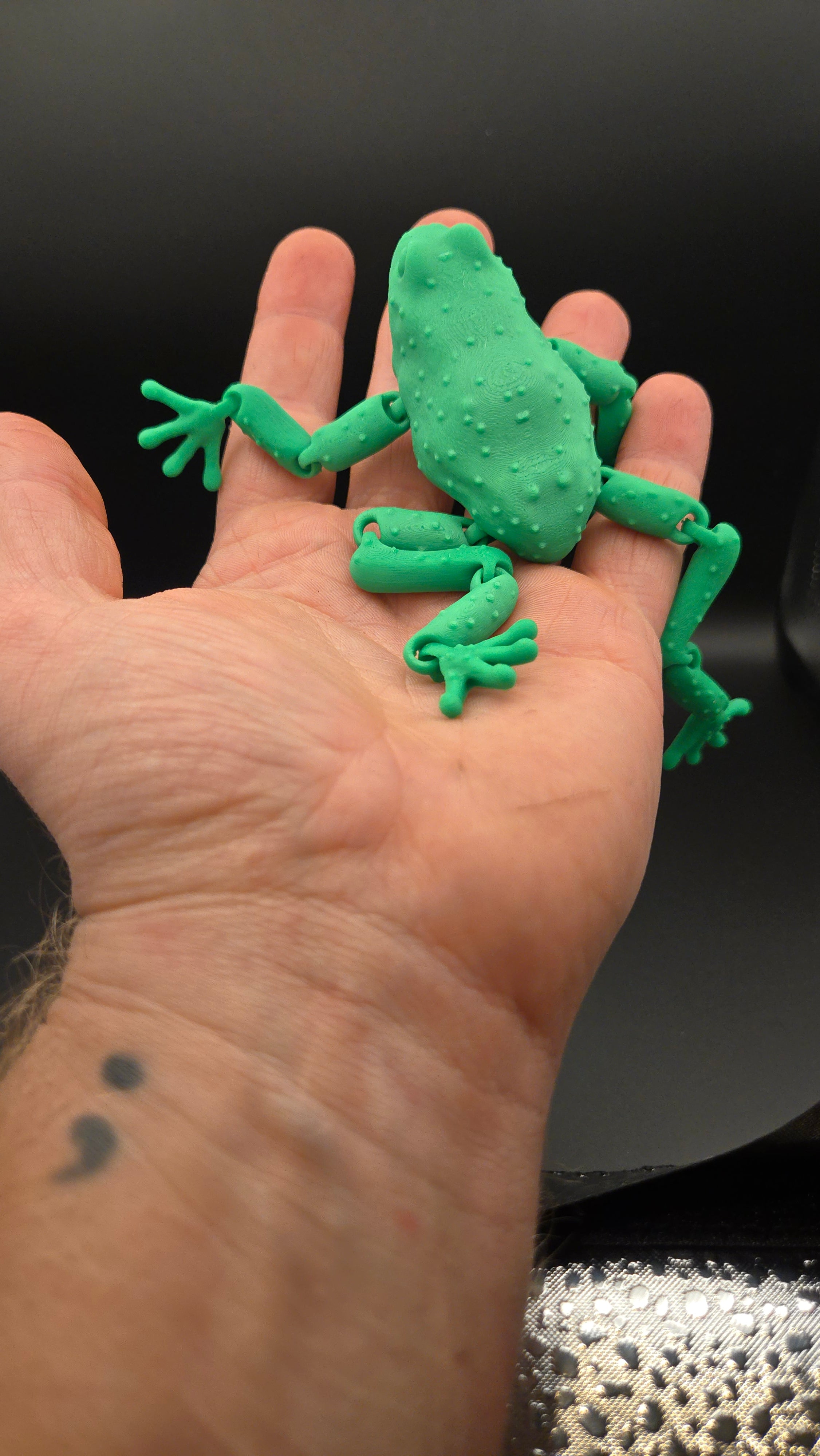 3D Frog