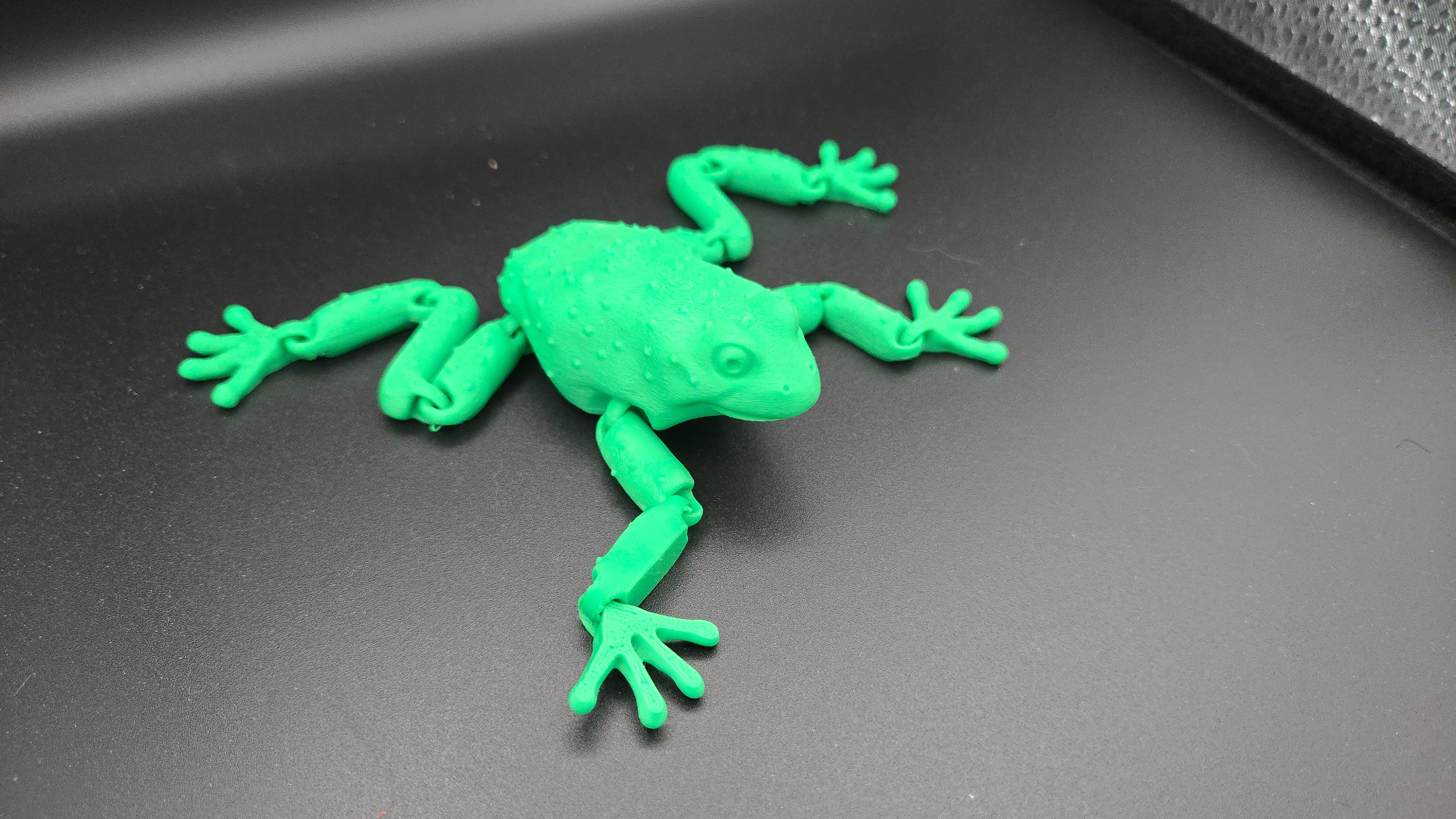 3D Frog
