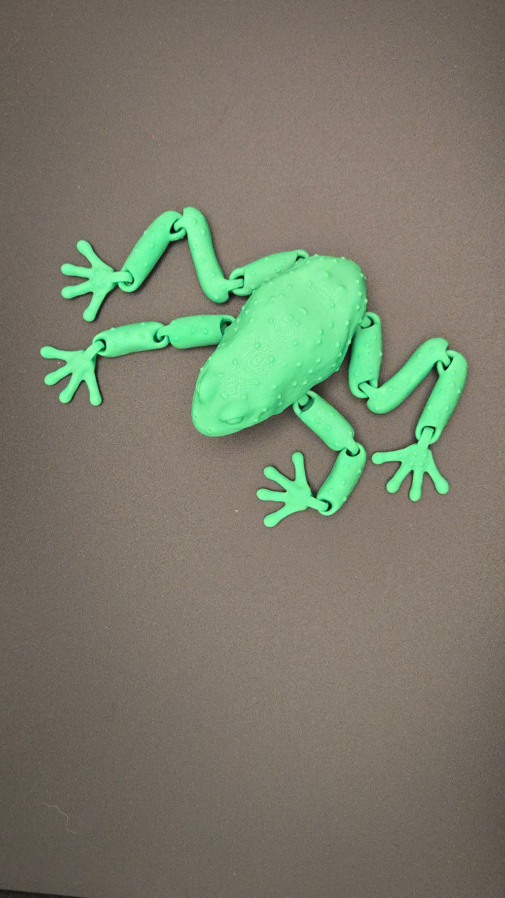 3D Frog