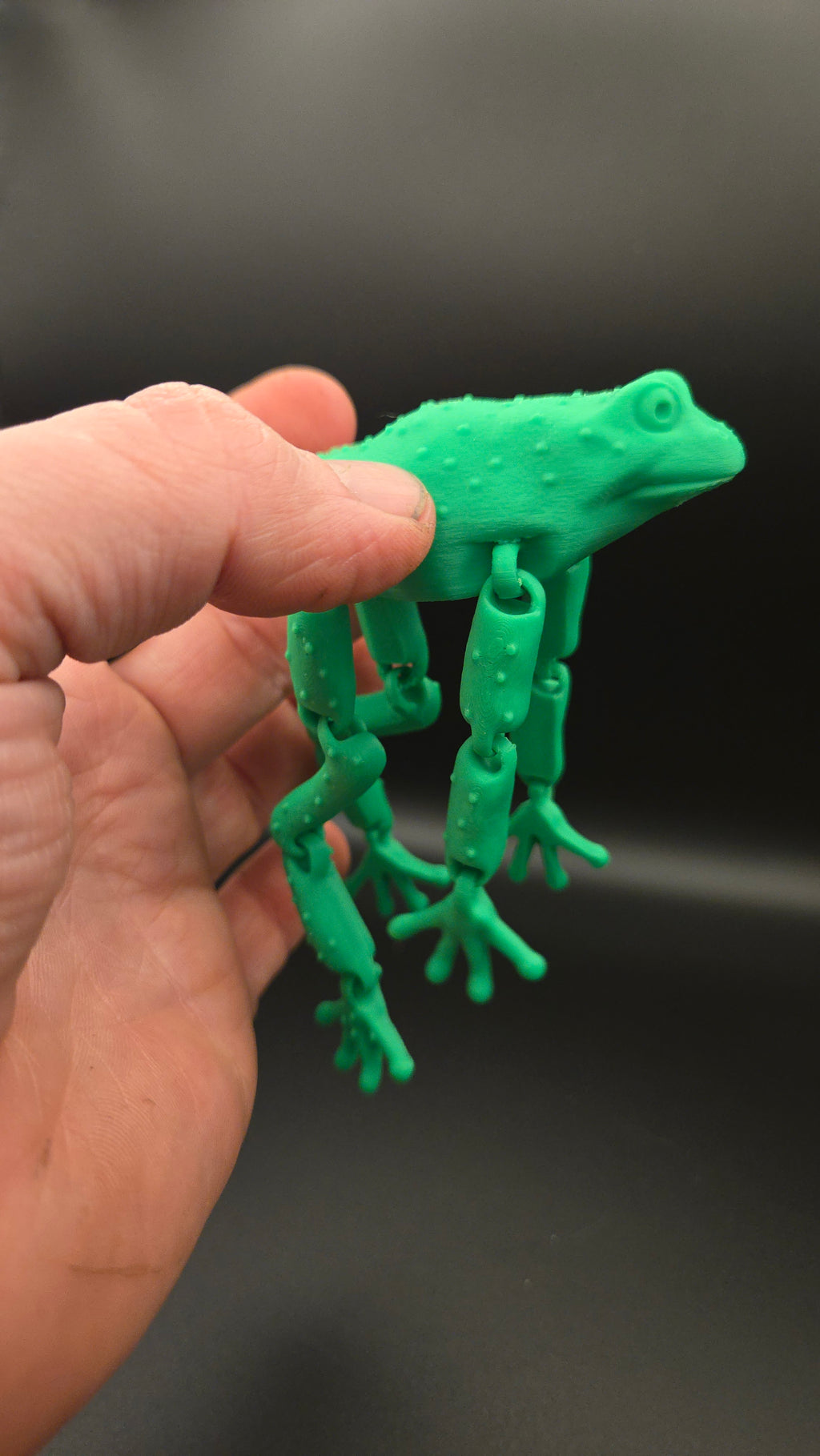 3D Frog