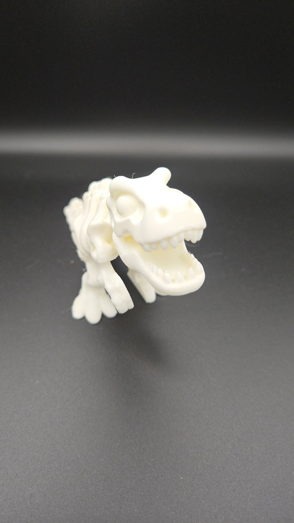 3D Printed Dinosaur