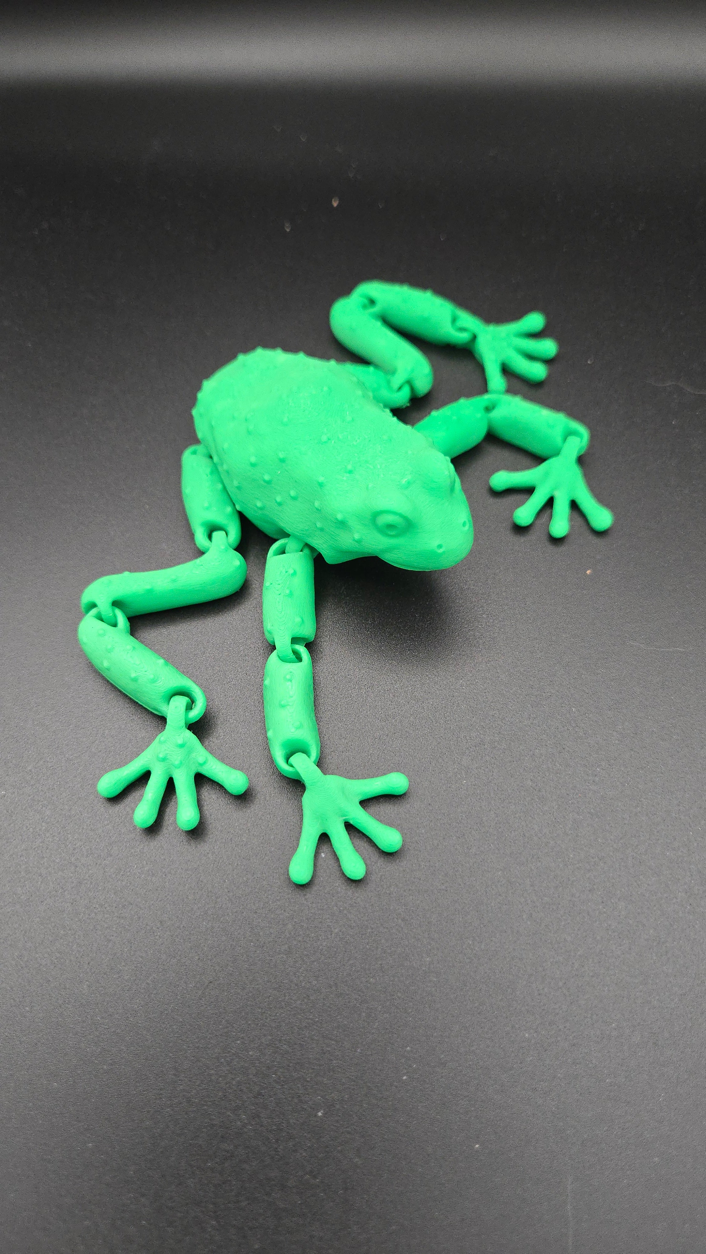 3D Frog